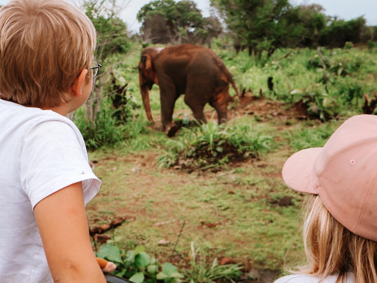 Elephant Safari in Hurulu Eco Parc | Daymaker