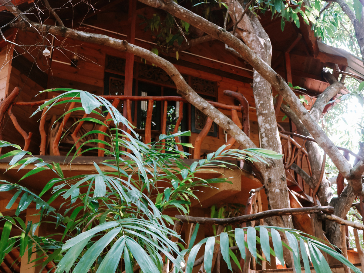 Sleep in a tree house at Dudley Nature Resort | Daymaker