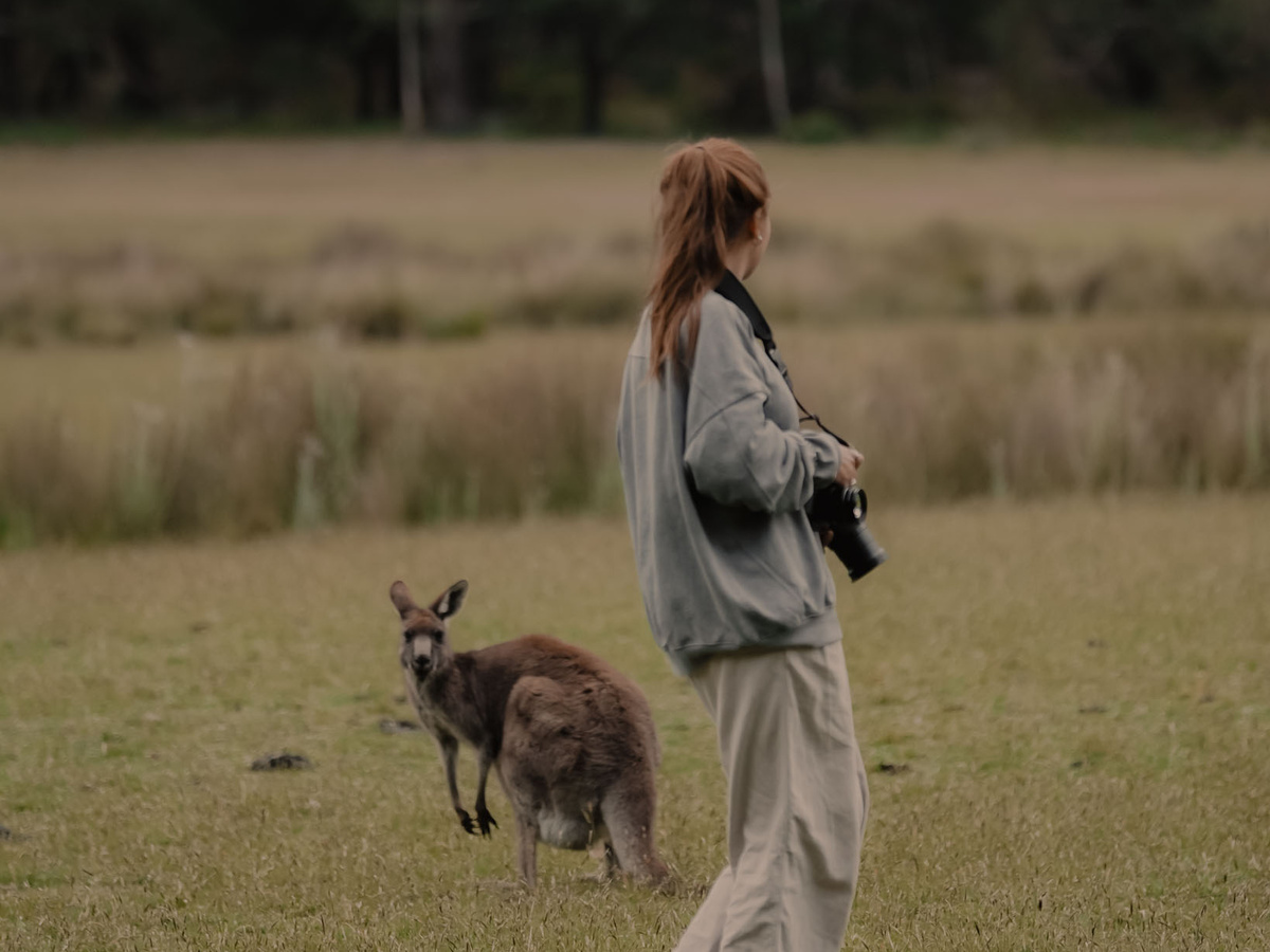 The perfect camping spot in Halls Gap | Daymaker