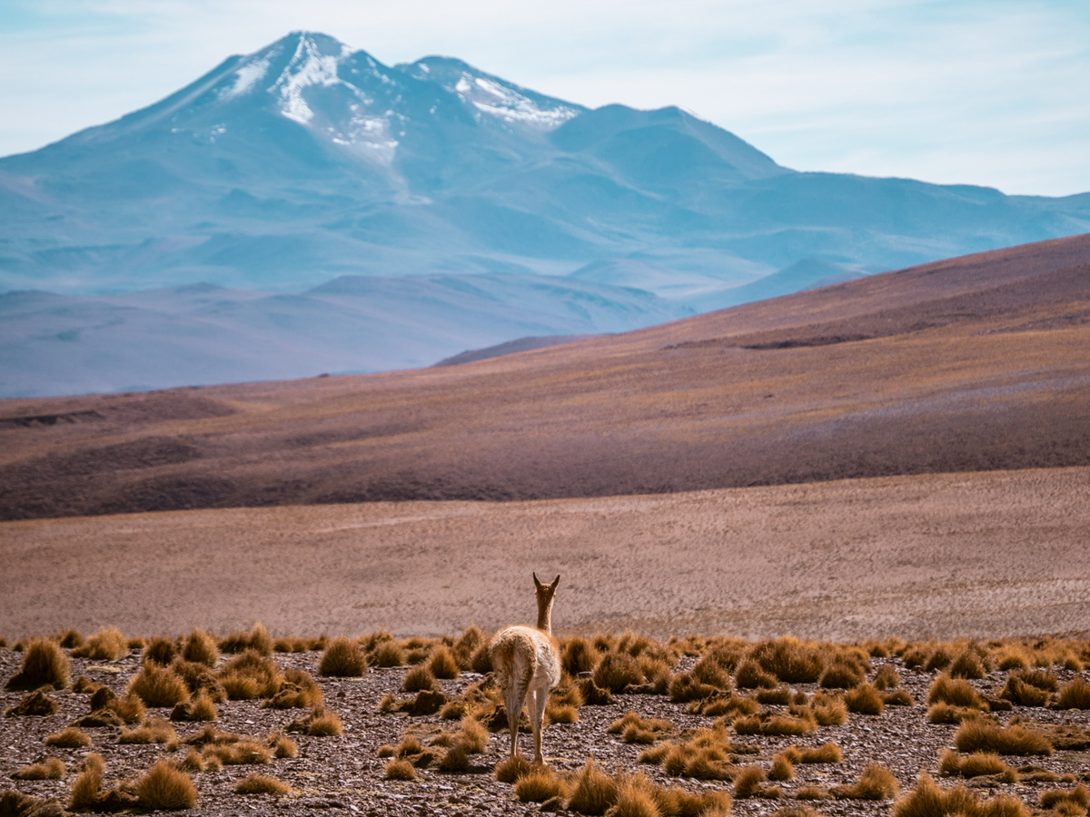 Rondreis Bolivia: de mooiste reisroute in 2-3 weken | Daymaker