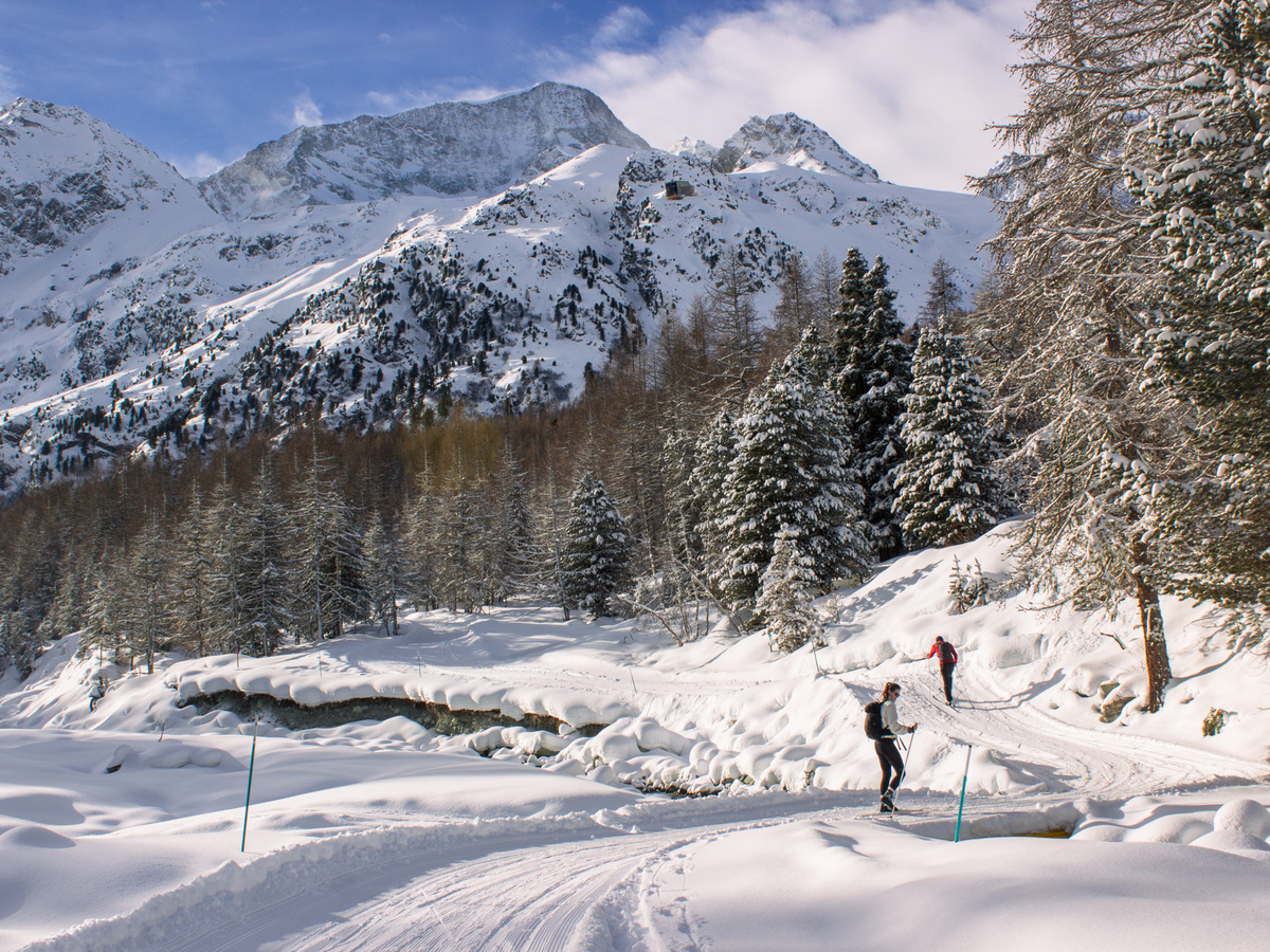 Cross-country skiing in Arolla | Daymaker