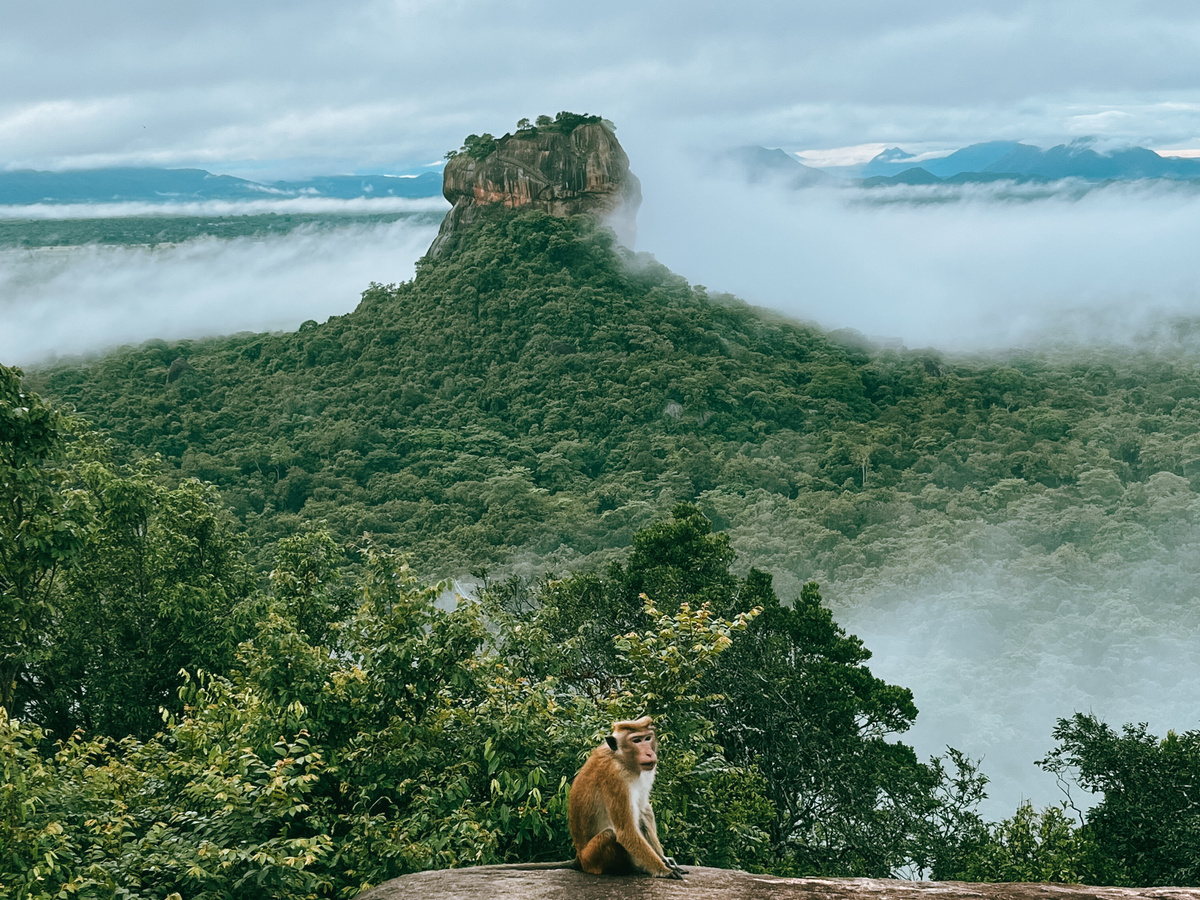 Pidurangala Rock: Sigiriya’s most famous viewpoint | Daymaker