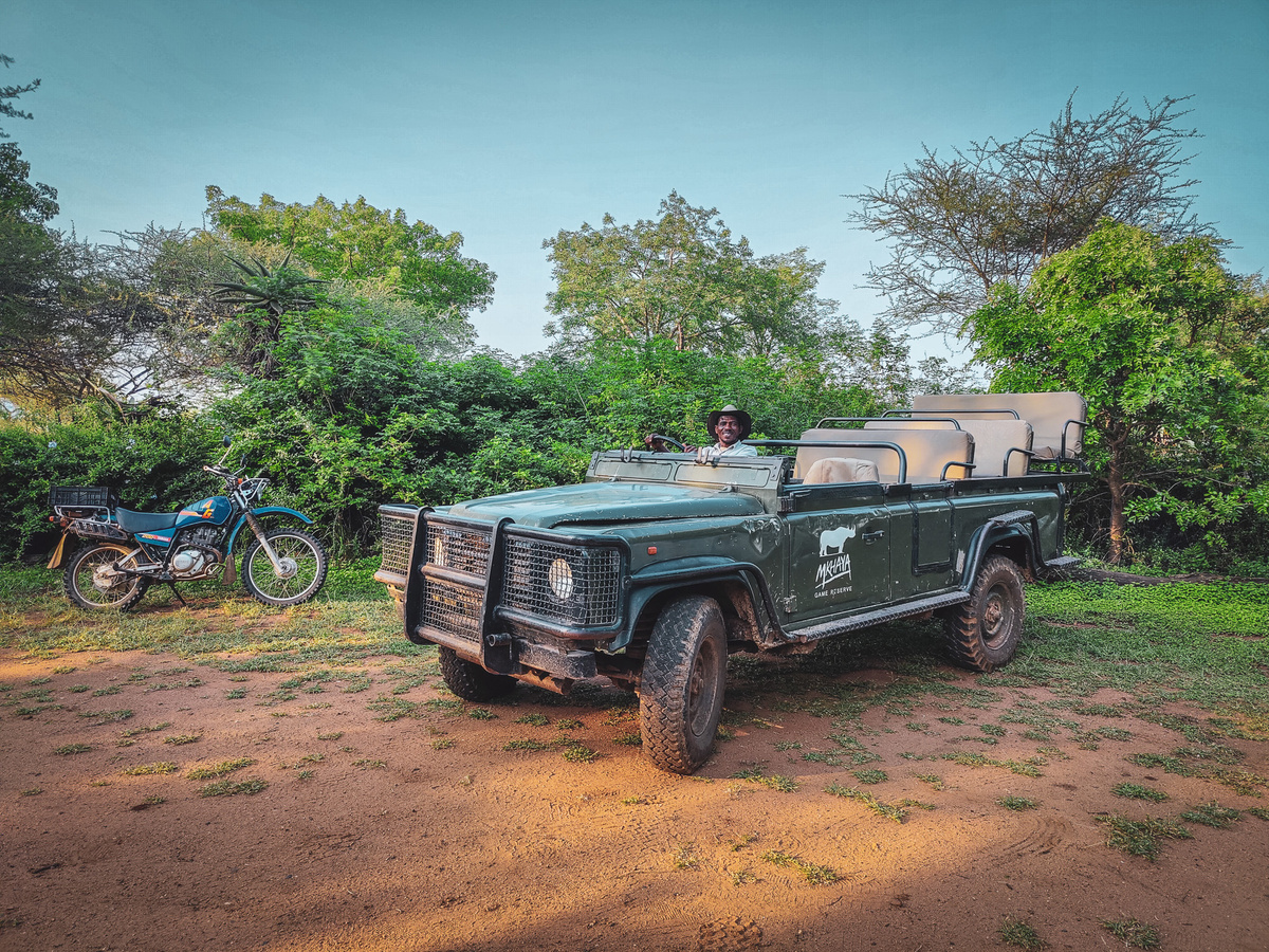 Op safari in Eswatini: Mkhaya Game Reserve | Daymaker