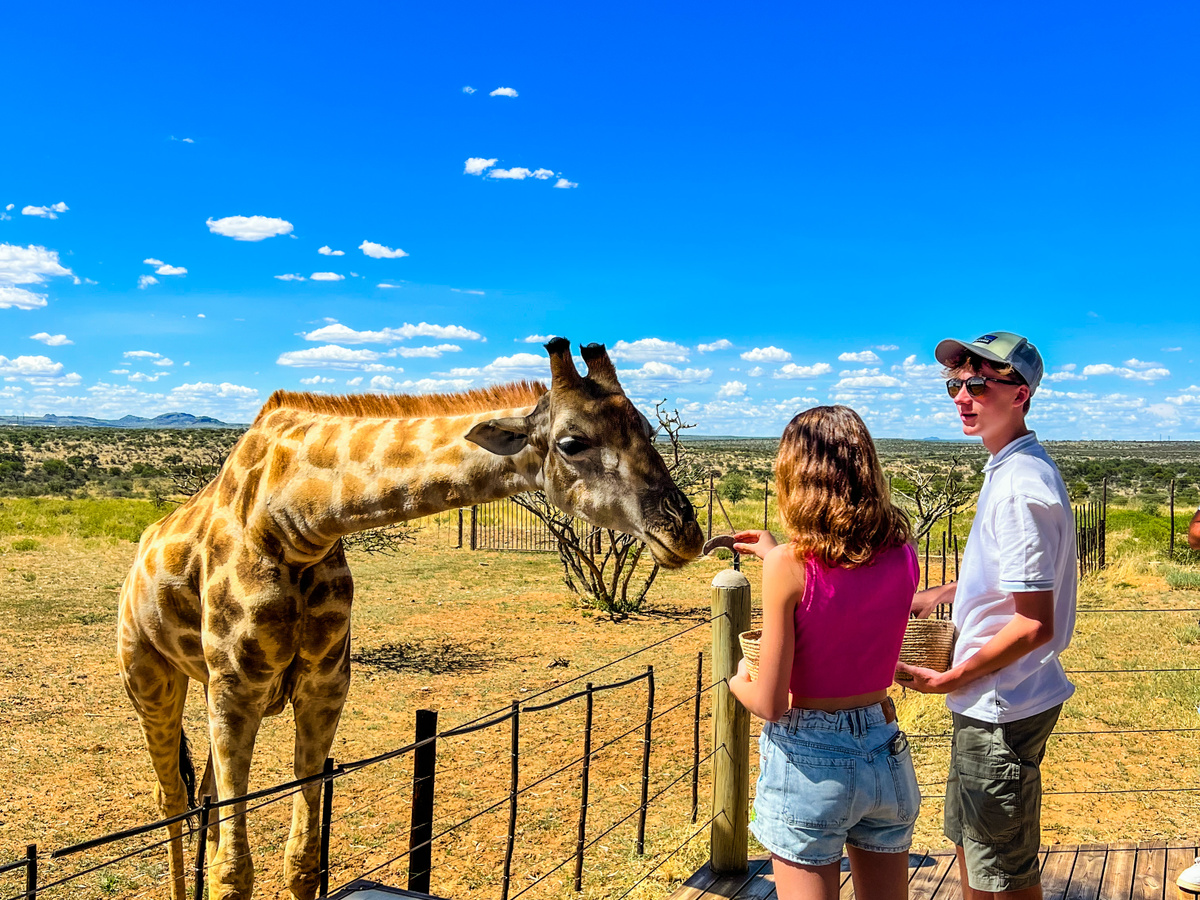 Uniek overnachten in Namibië | High tea met giraffes | Daymaker