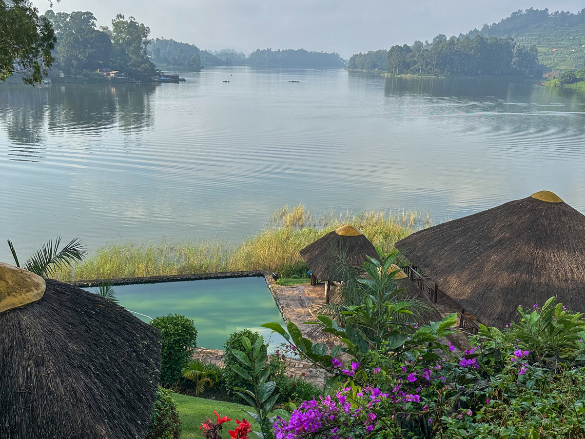 Birdnest Resort: like a painting | Daymaker