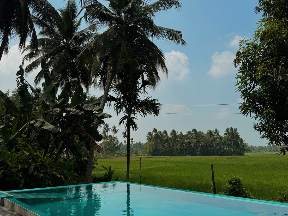 Sleeping among rice fields at Rice Rice Villas | Daymaker
