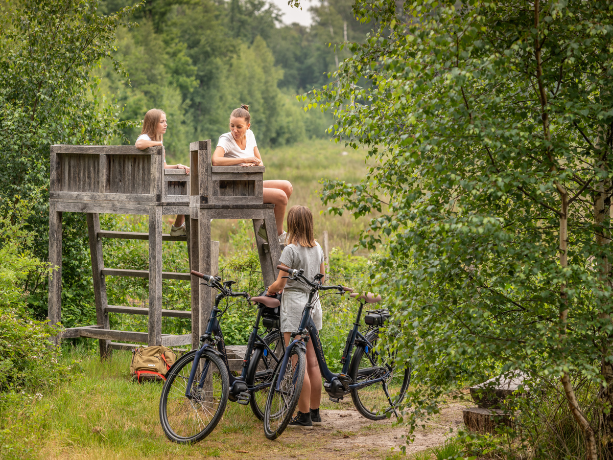 Sportief in de natuur van Bilzen | Daymaker