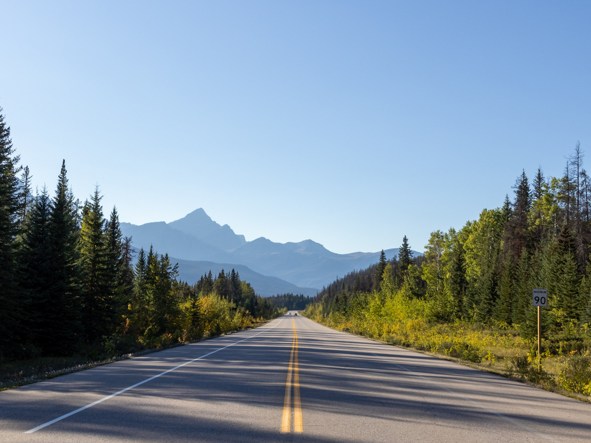 Icefields Parkway in Canada: de mooiste stops en bezienswaardigheden | Daymaker
