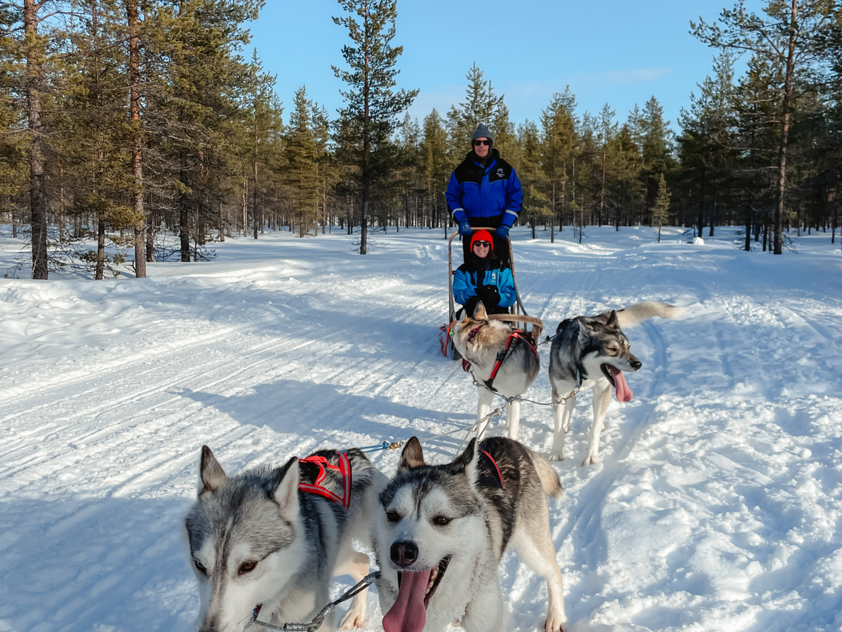 Dog sledding in the north of Finland | Daymaker