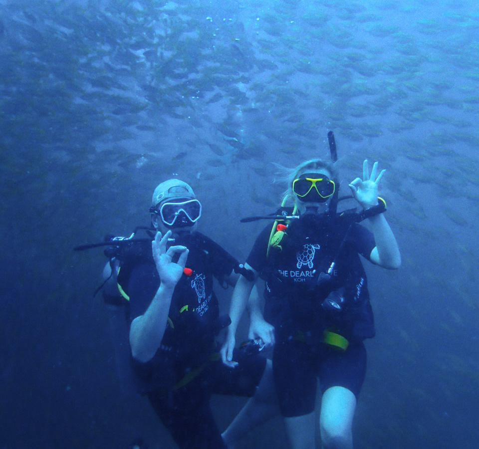 Diving in Koh Tao | Daymaker