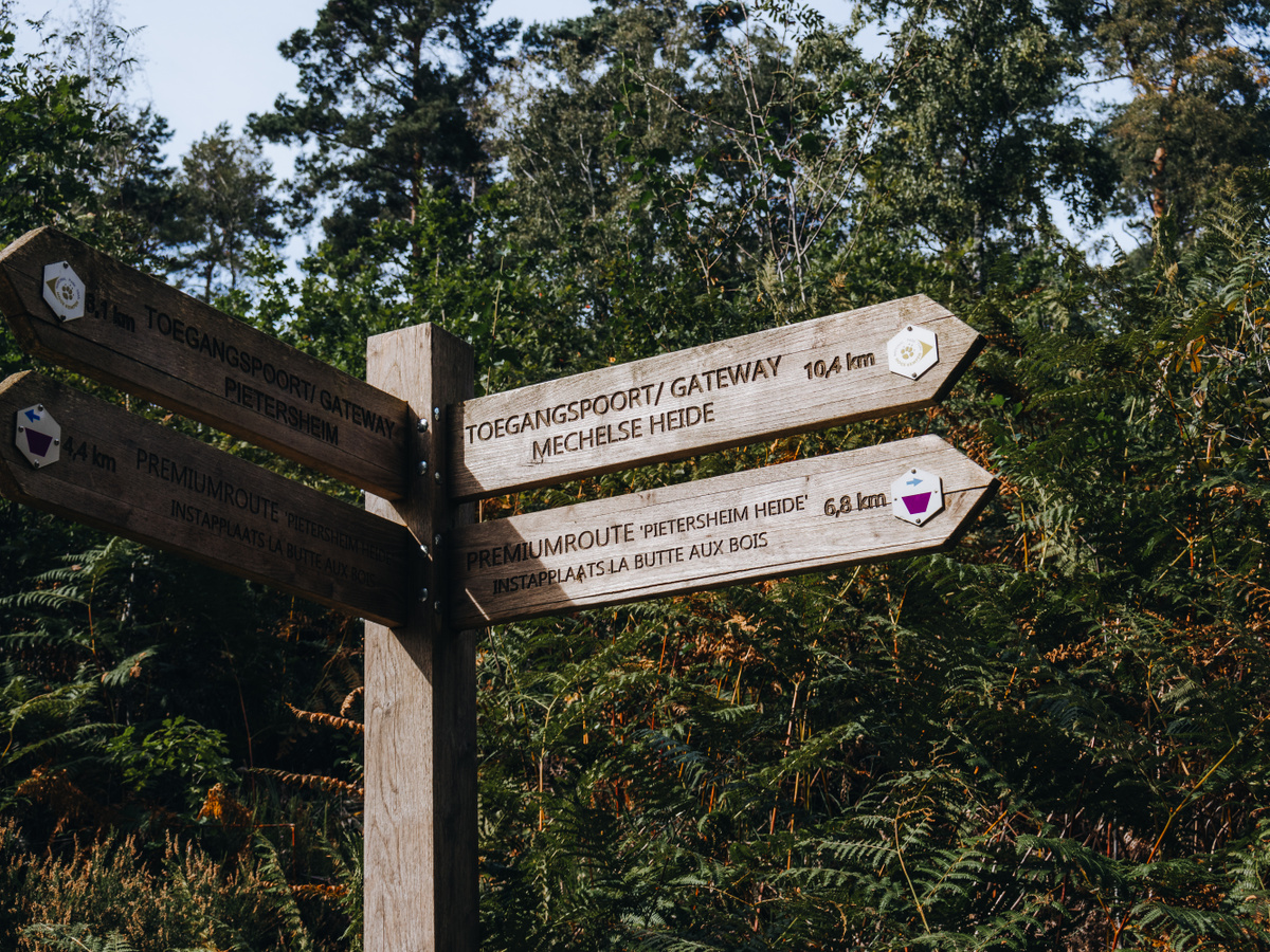 Walk around Hoge Kempen National Park | Daymaker