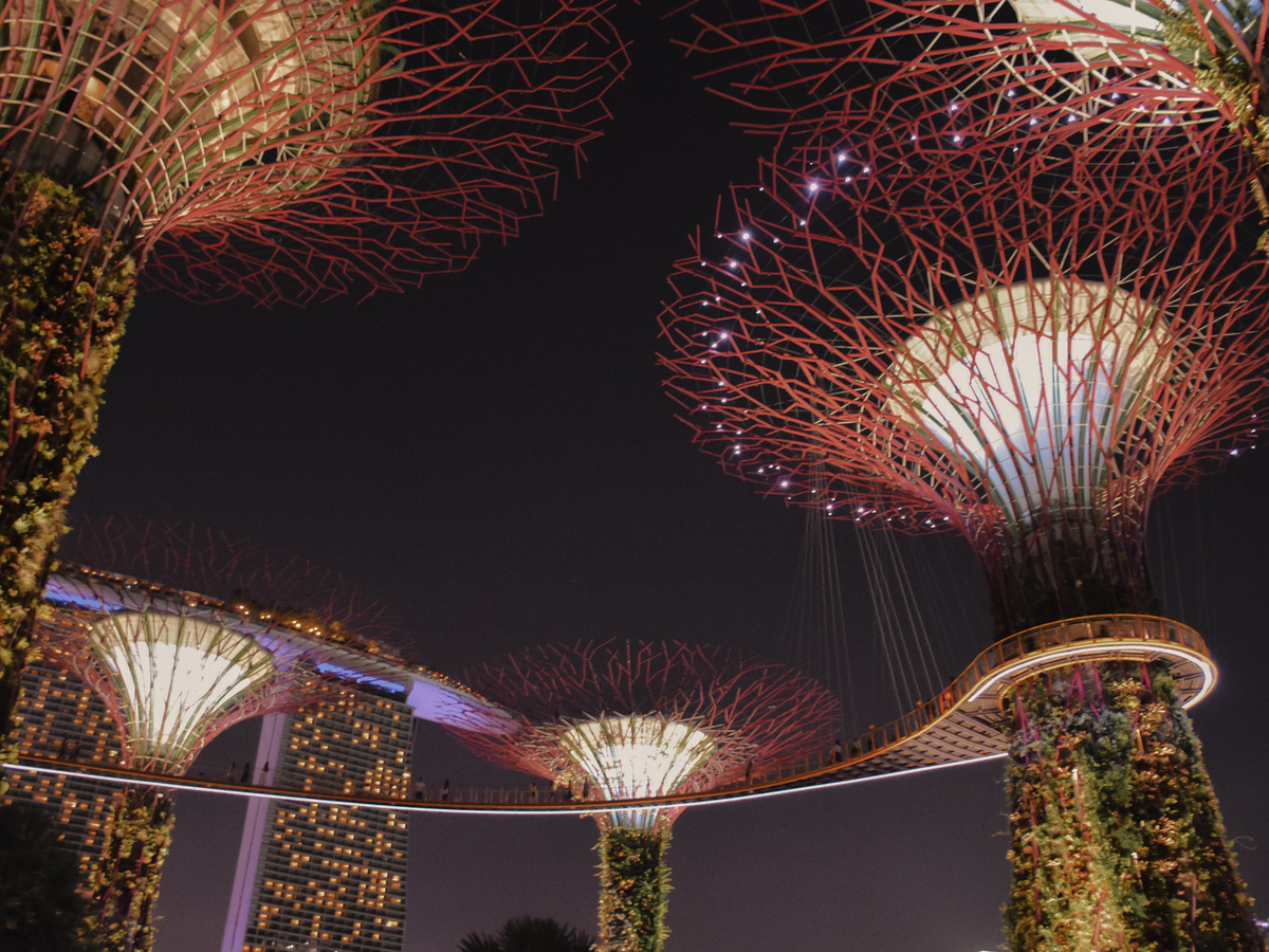 Garden in the city of Singapore | Daymaker