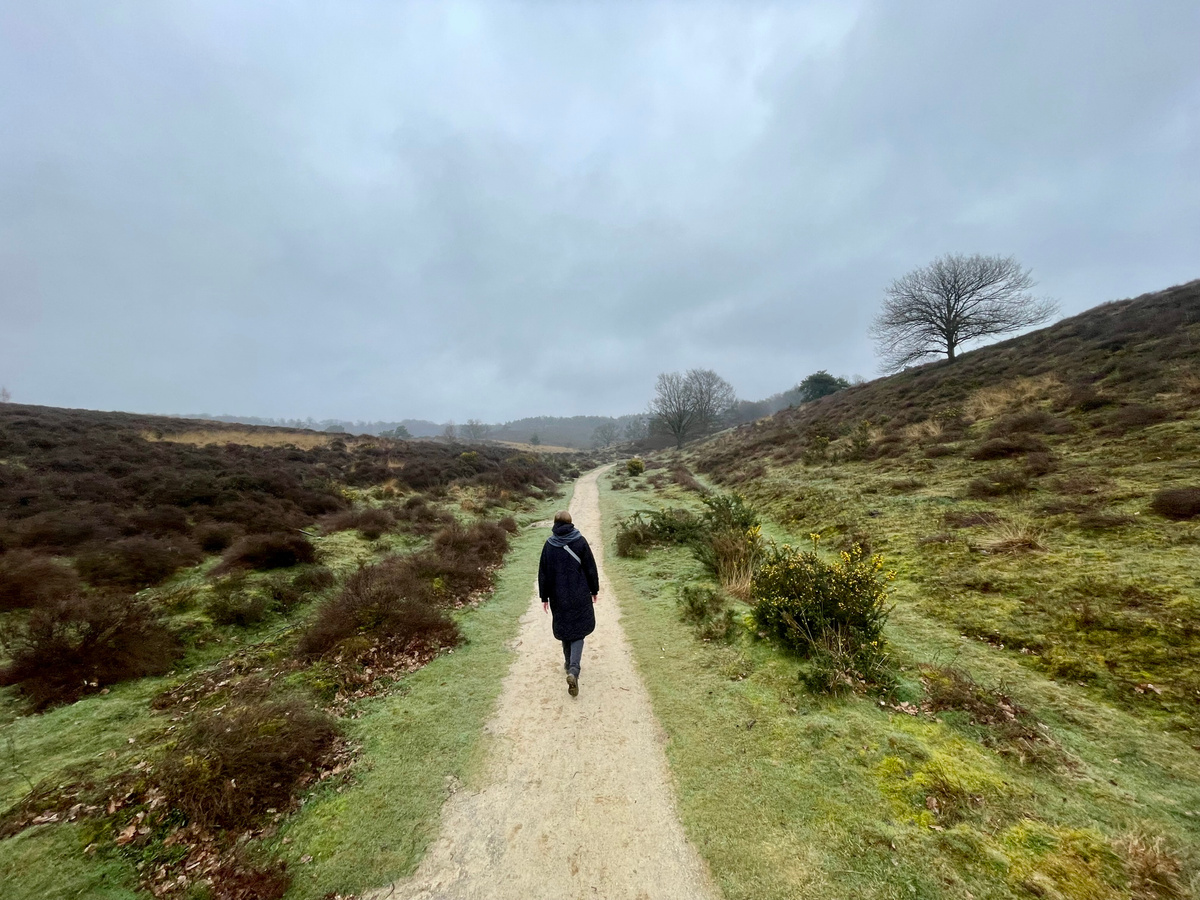 Combineer stad en natuur in Arnhem | Daymaker