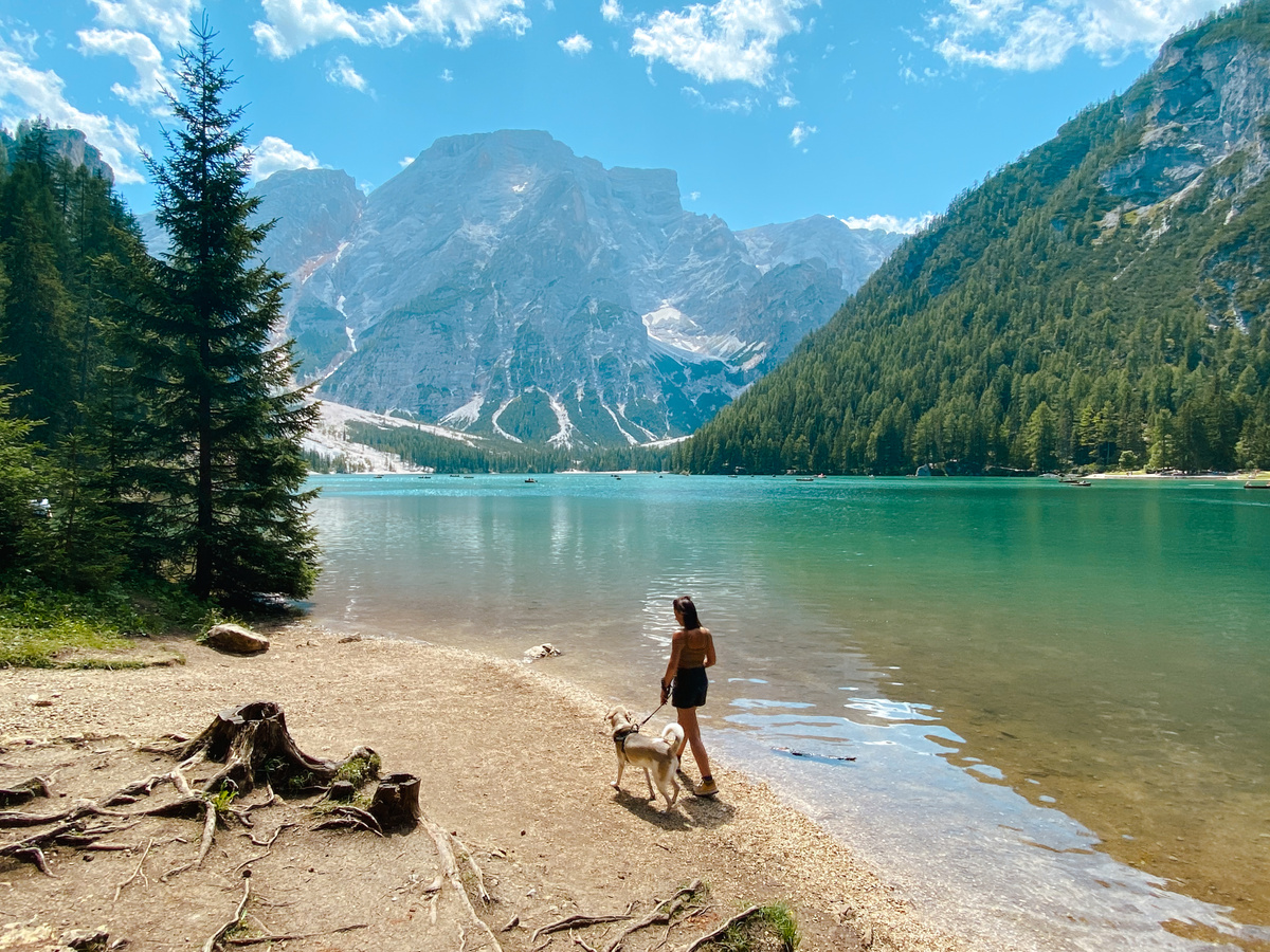 The Dolomites: Paradise for your four-legged friend | Daymaker