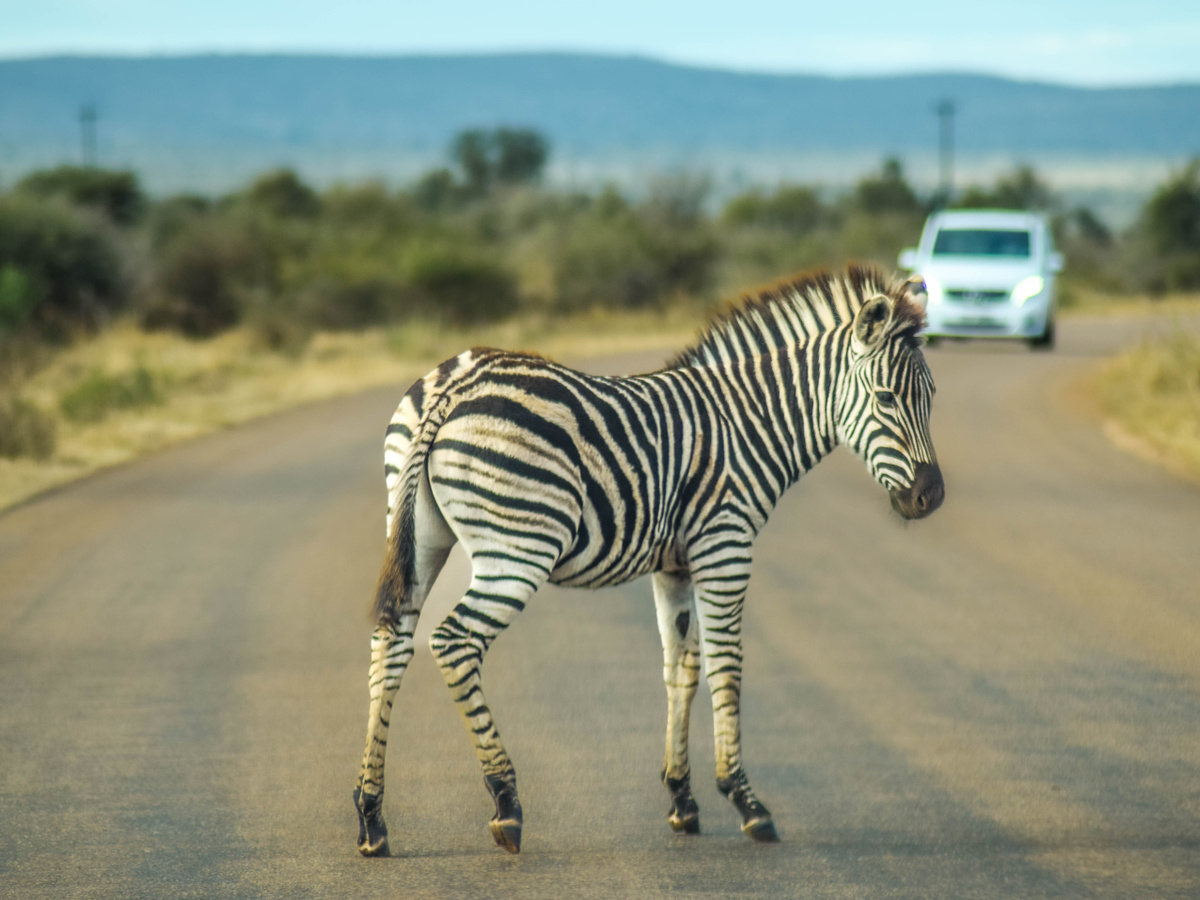 Itinerary South Africa - 3 weeks | Daymaker