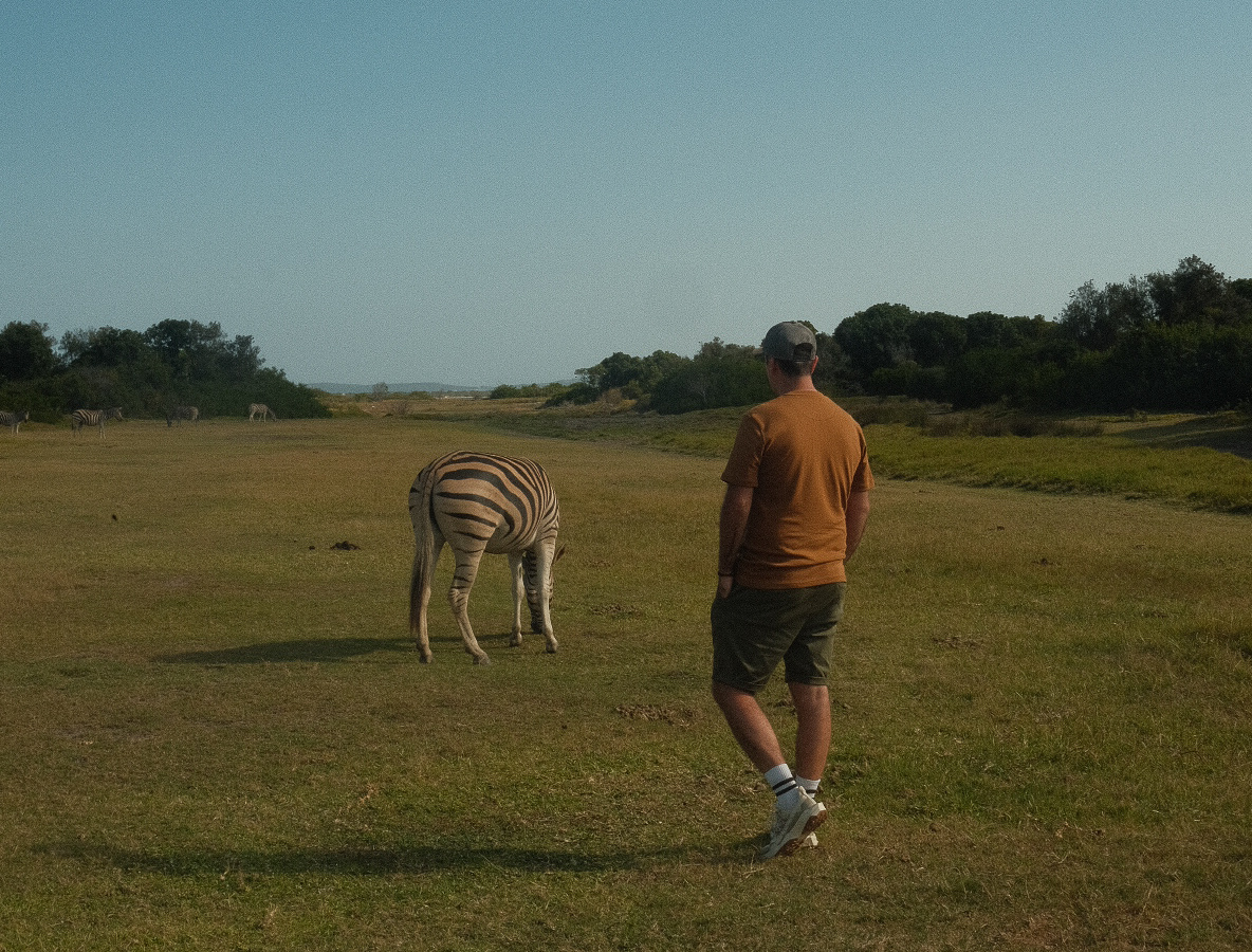 Unique stay on an island with zebras | Daymaker