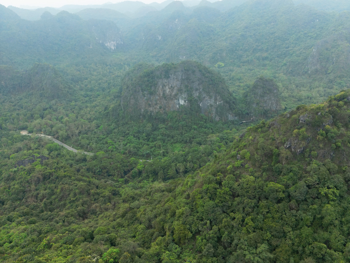Best viewpoint on Cat Ba Island: Ngu Lam Peak | Daymaker