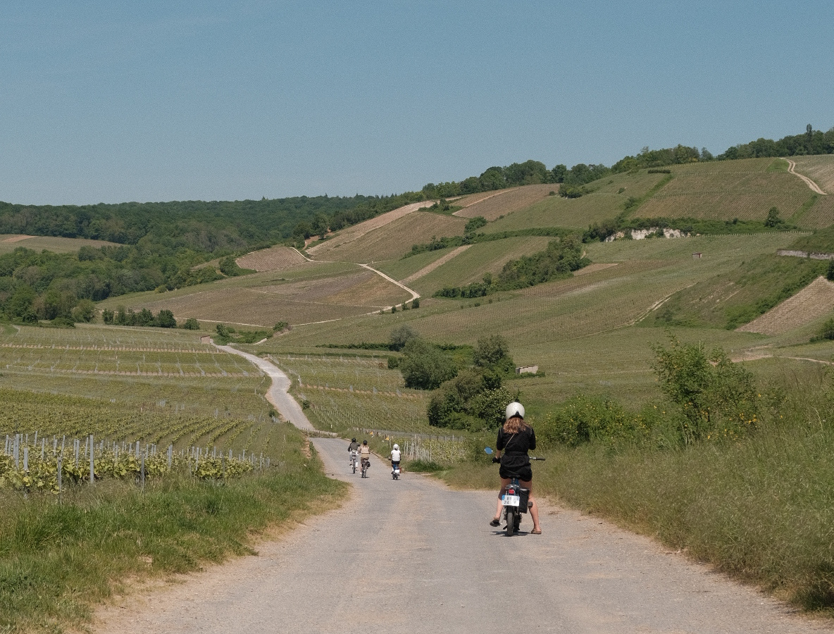 Bike around the champagne region | Daymaker