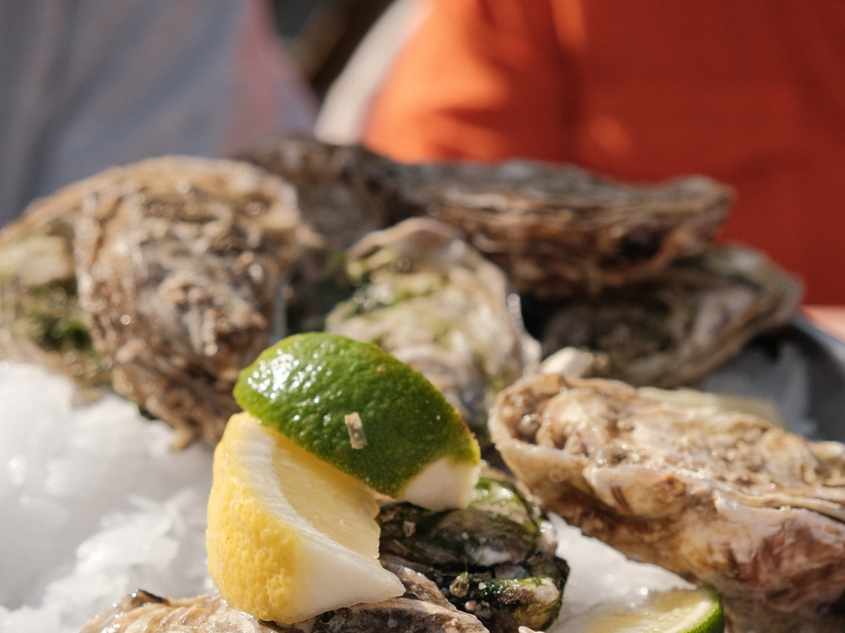 Local fish market & oyster bar | Daymaker