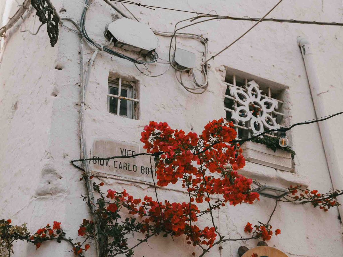 Discovering the white hilltop town Ostuni | Daymaker