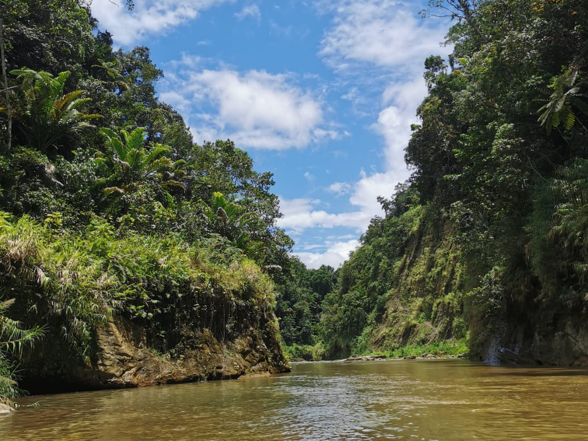 River Rafting in Fiji's Heartland | Daymaker