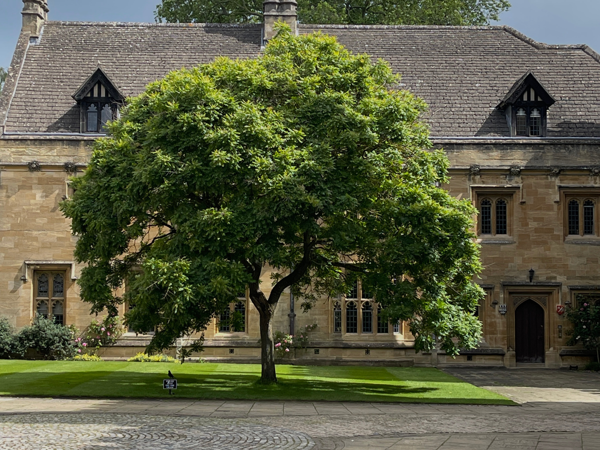 Stunning Magdalen College - Oxford | Daymaker