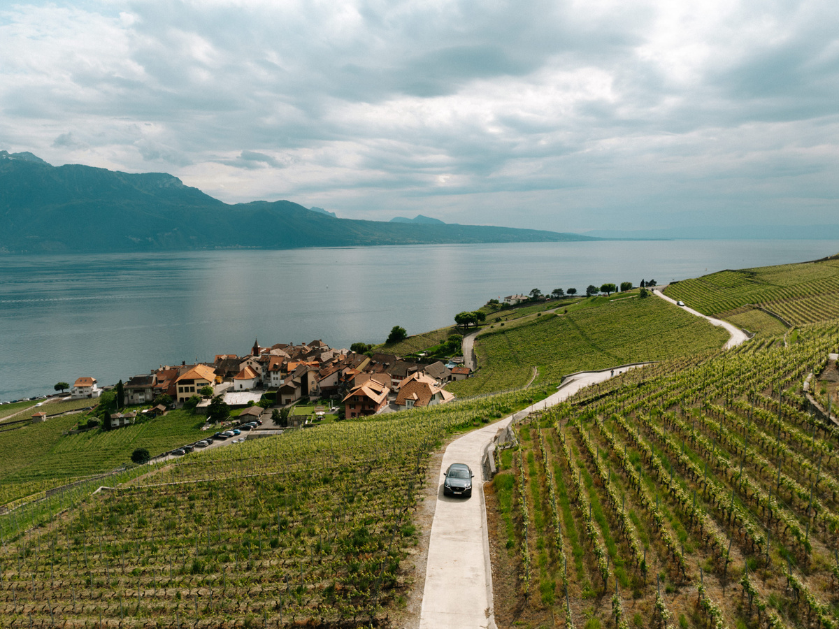 Drive through the vineyards in Lavaux | Daymaker