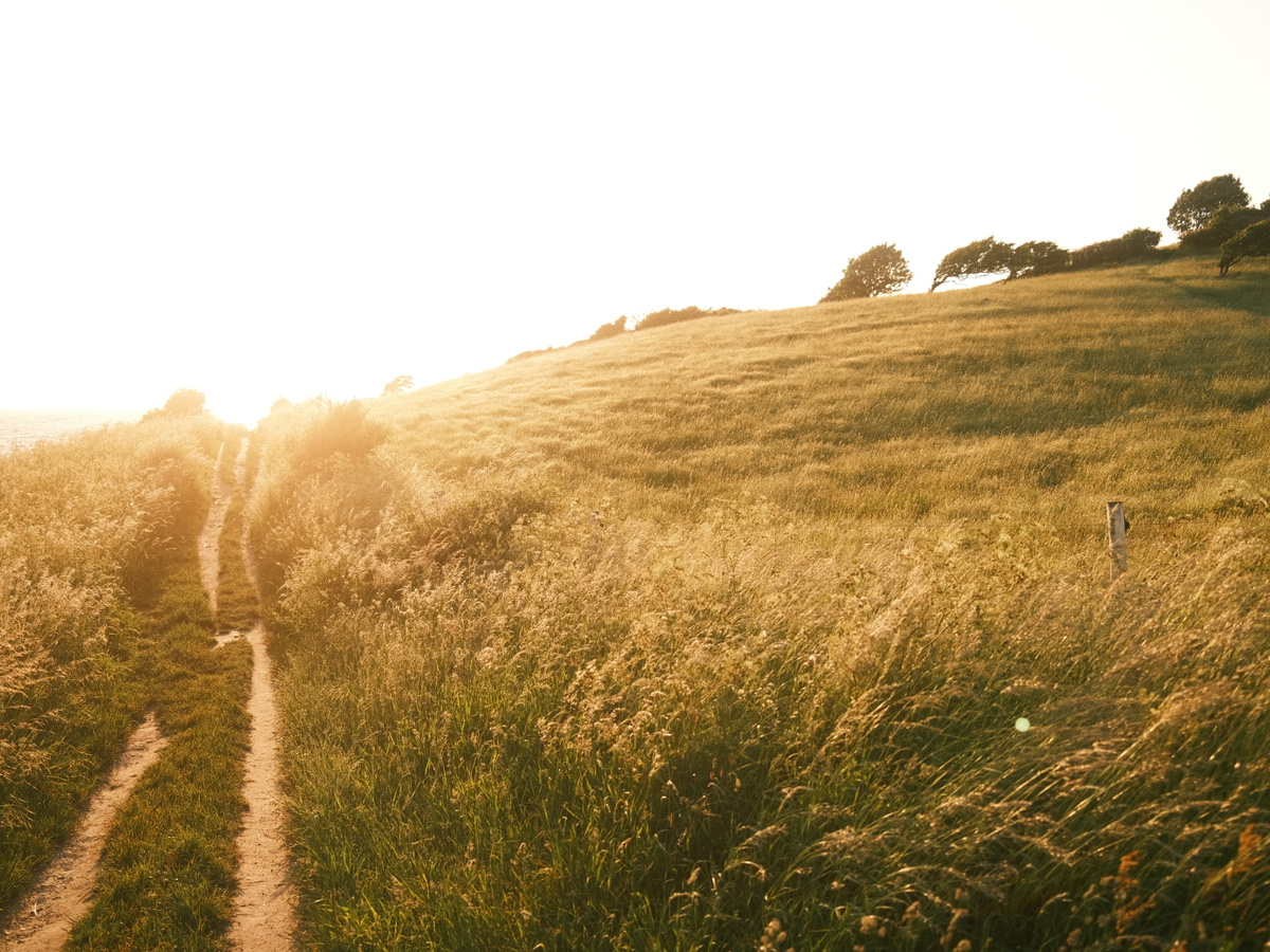 Sunset Picnic on Funen, Denmark | Daymaker