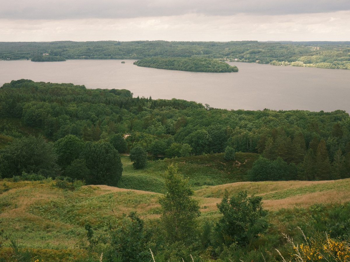 Viewpoint - Himmelbjerget | Daymaker