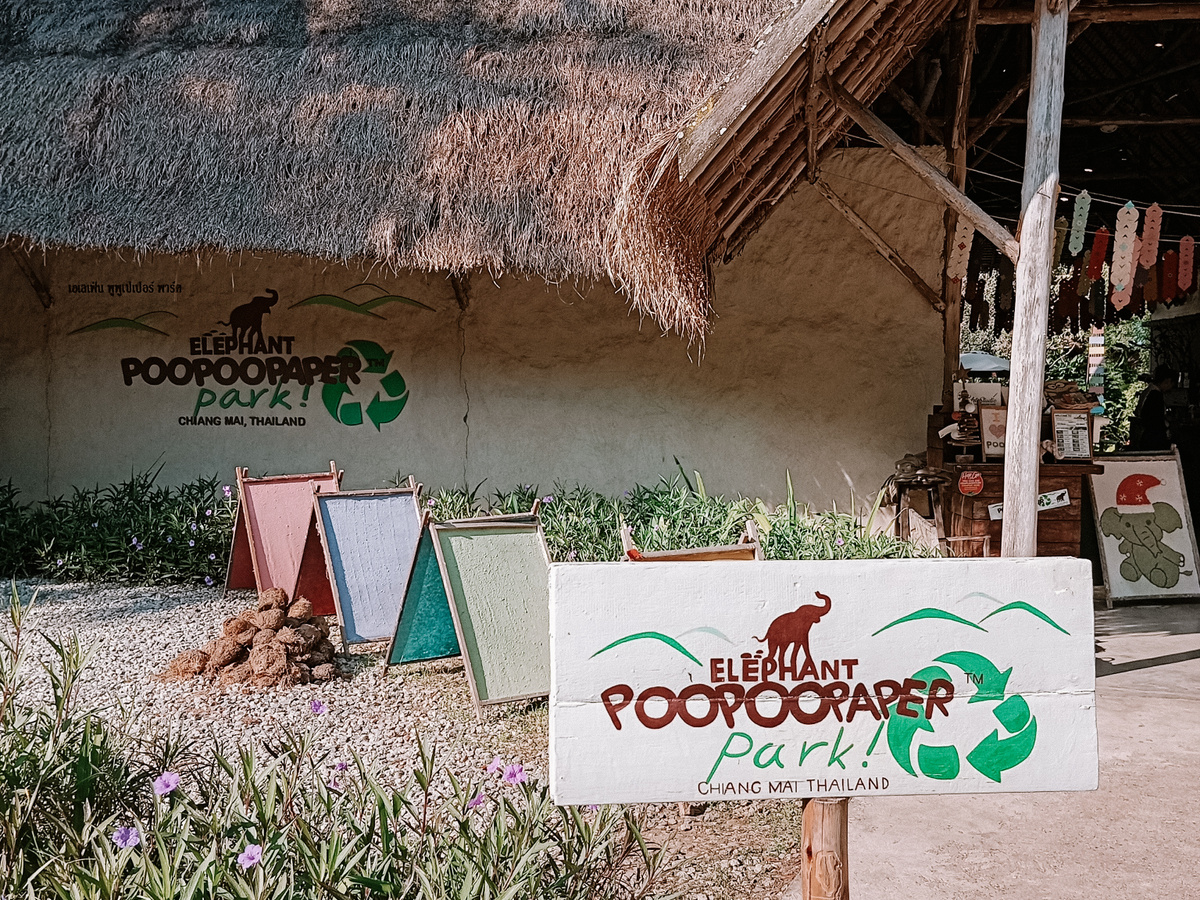 Everything you need to know about poo at Elephant Poo Poo Park | Daymaker