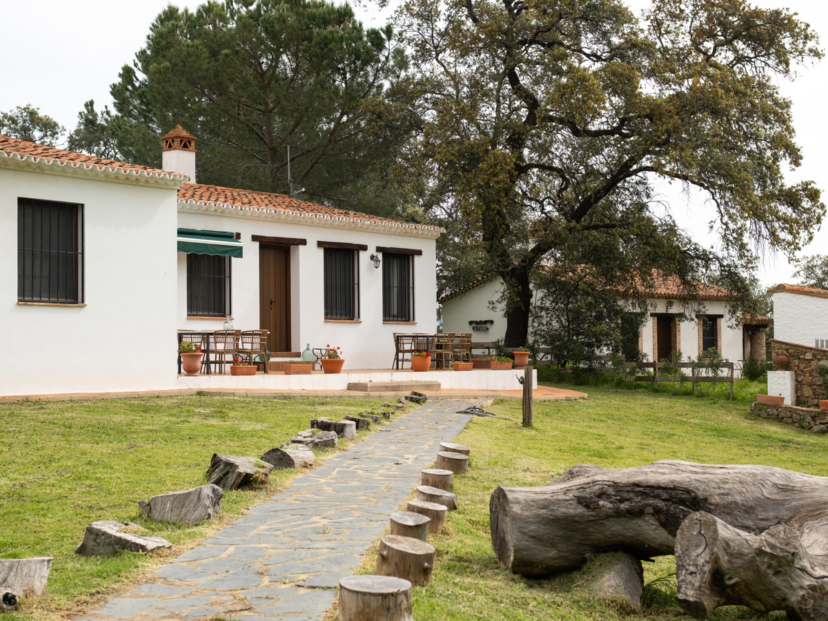 Finca Arroyo La Jara | Daymaker