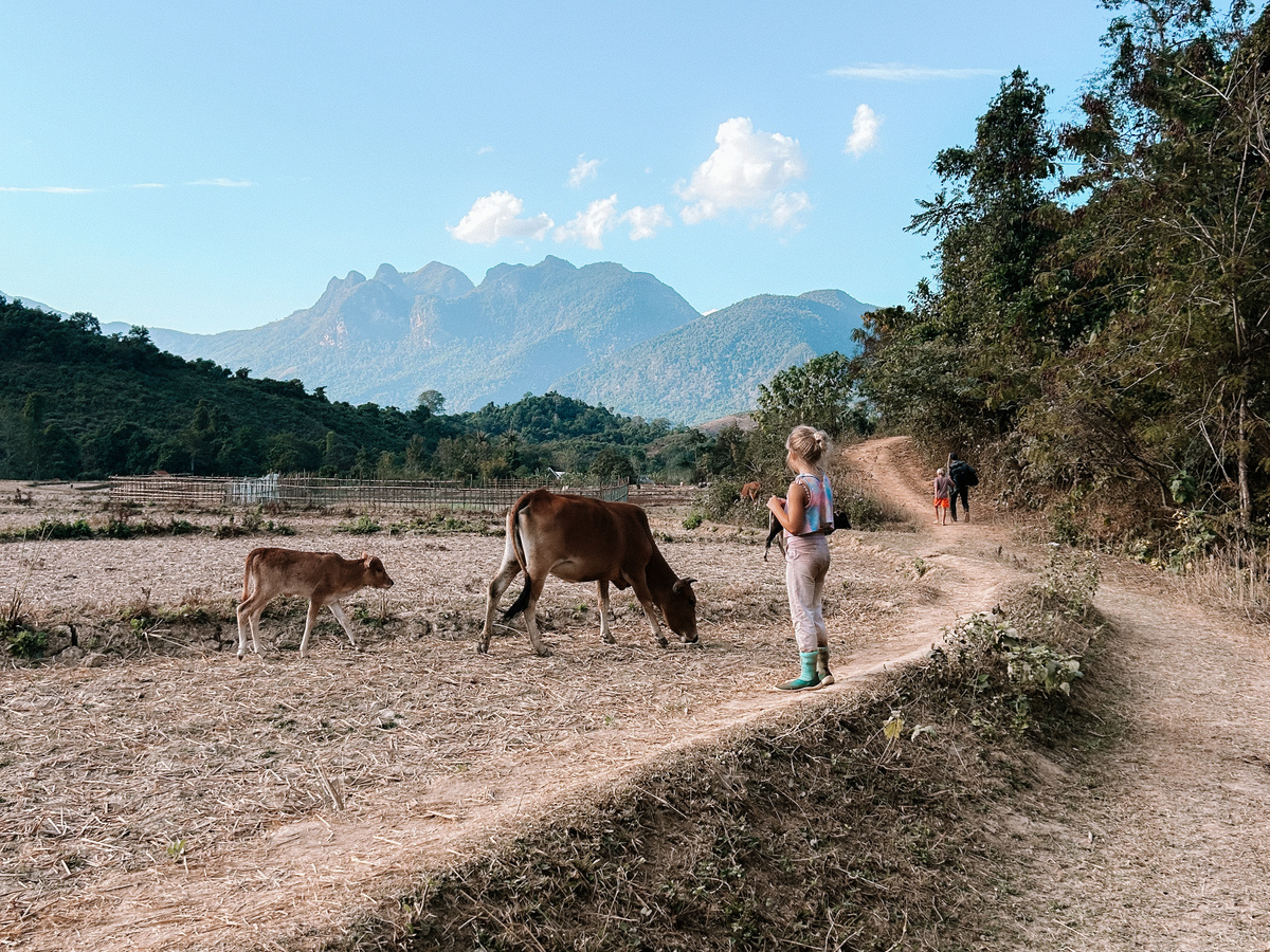 Enjoy picturesque Muang Ngoy | Daymaker