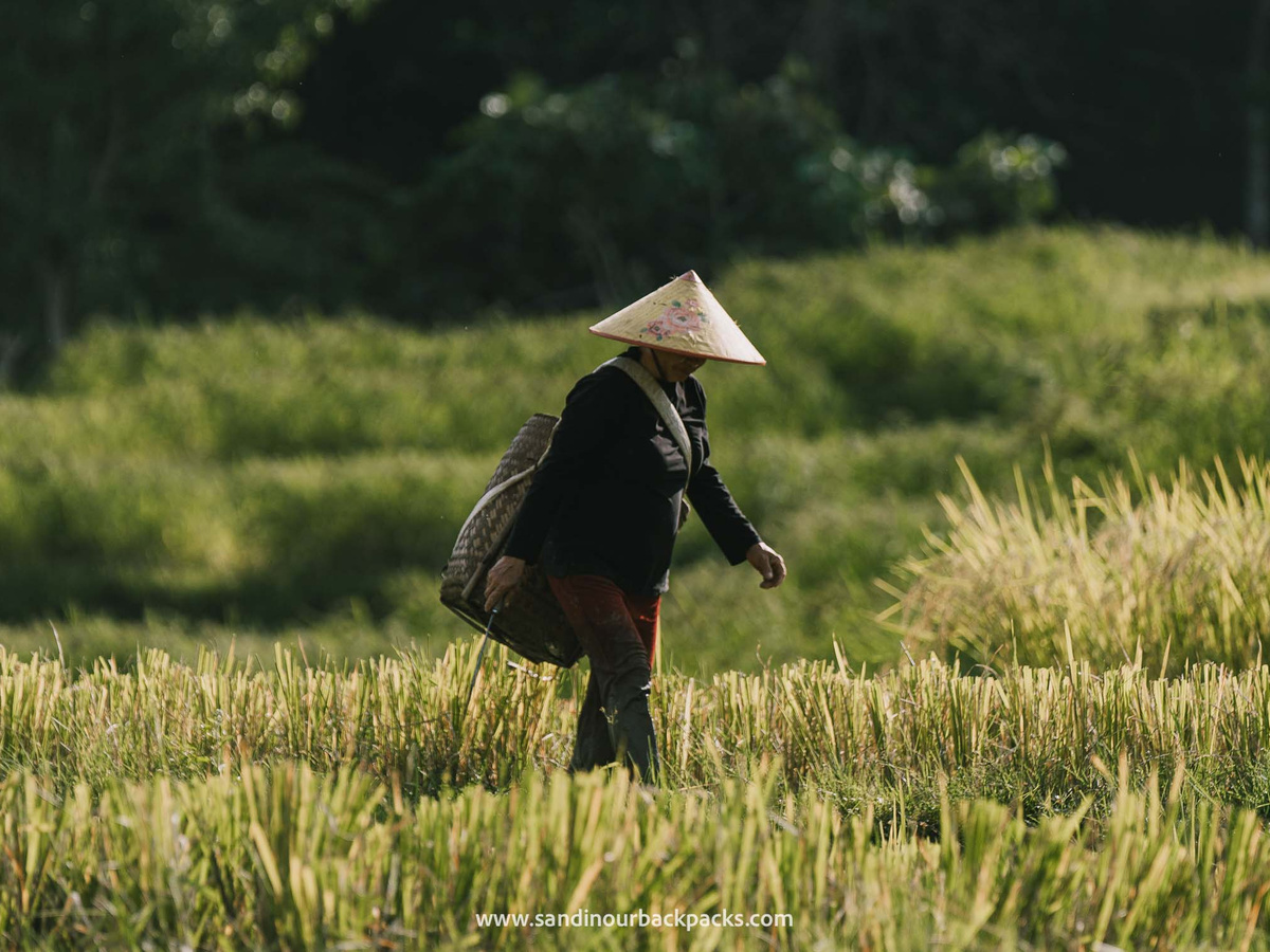 Pu Luong Nature Reserve: de beste vervanger voor Sapa | Daymaker