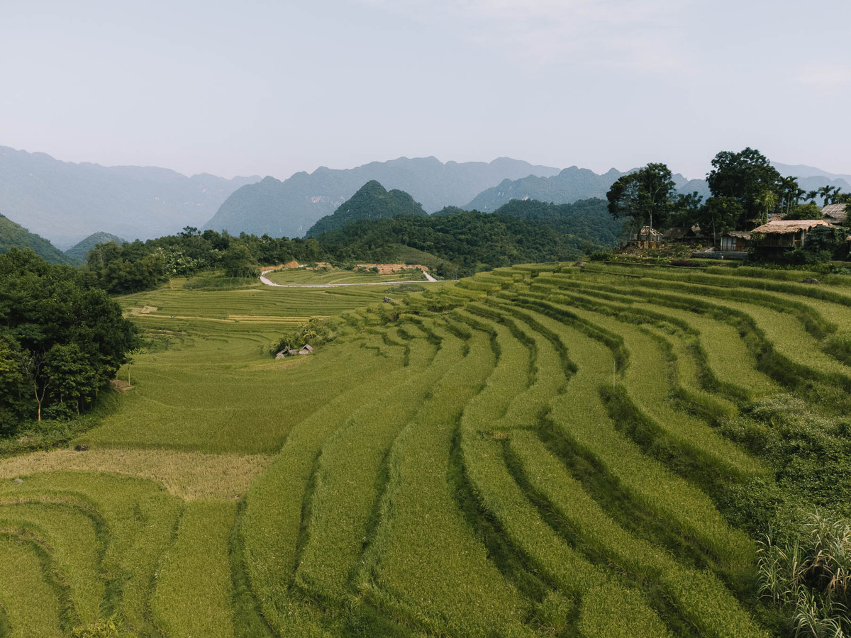 Off the beaten path experience: Visit Pu Luong Nature Reserve | Daymaker