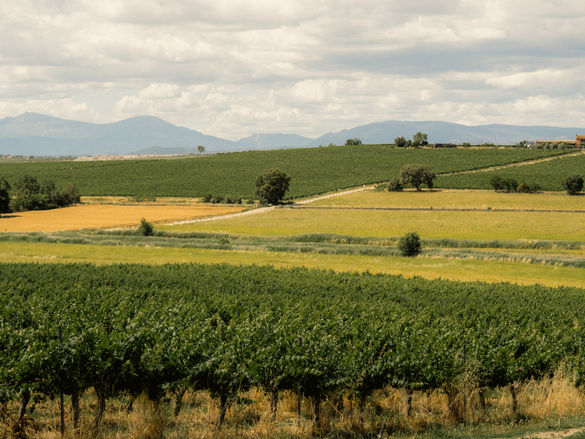 Wine tasting in the Spanish countryside of Aragon | Daymaker