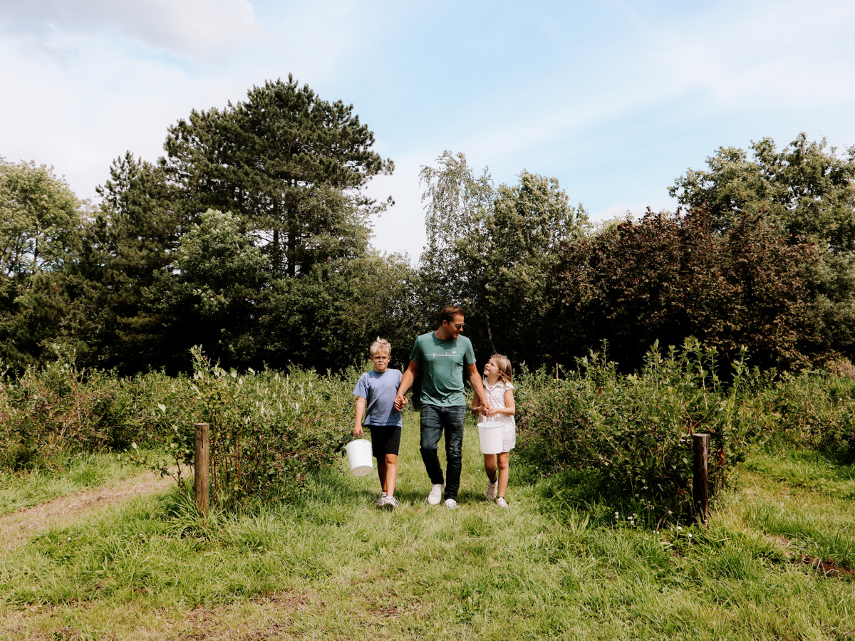 Lunch en blauwe bessen plukken | Daymaker