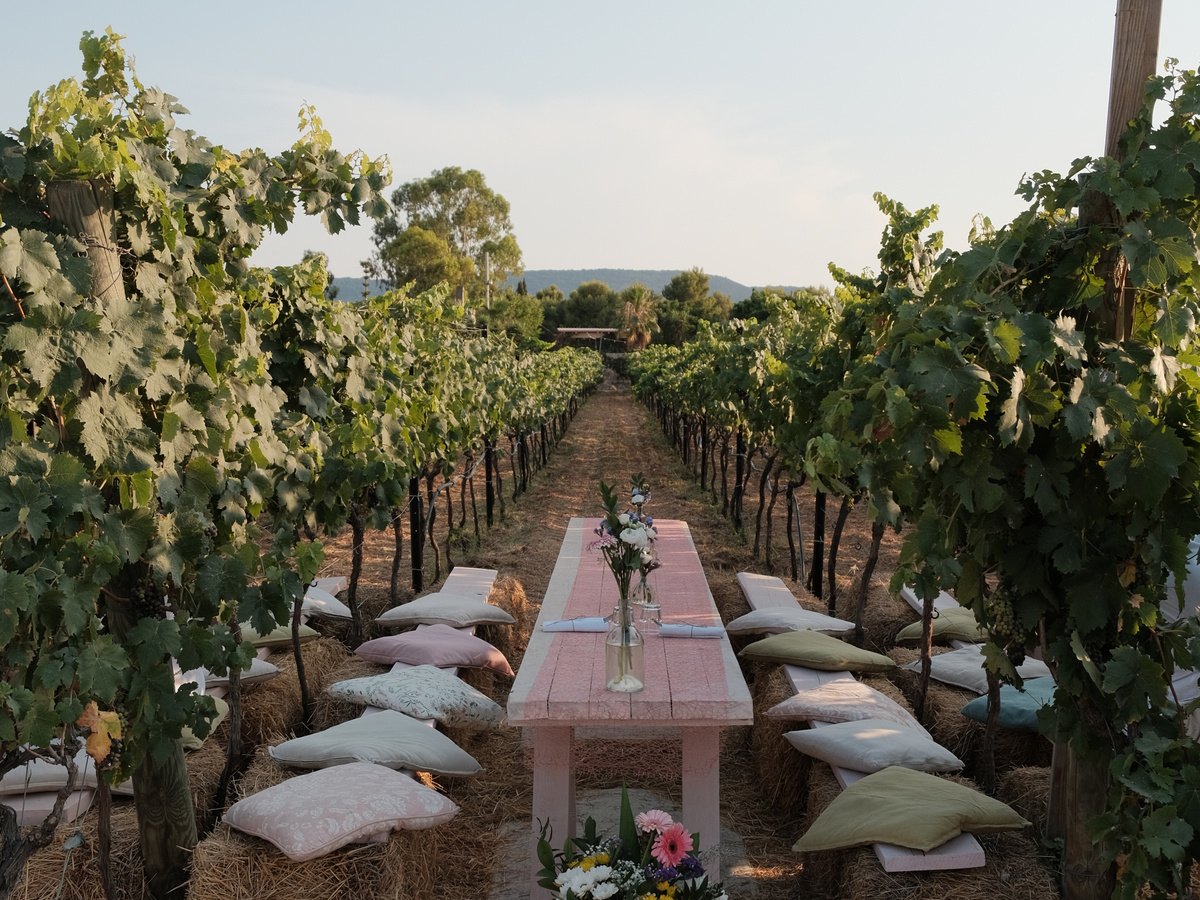 Aperitivo in a vineyard | Daymaker