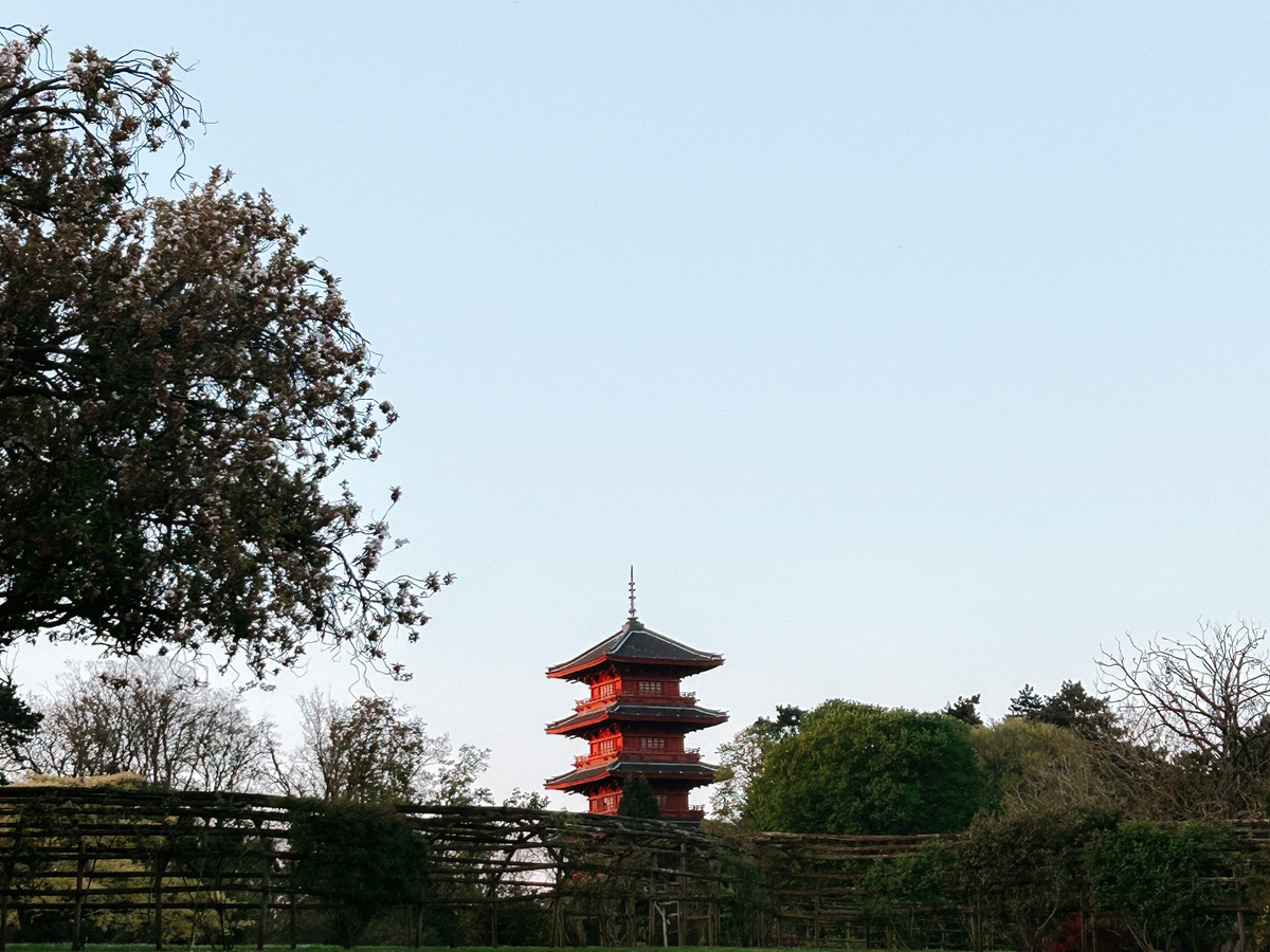 Visit the Royal Greenhouses of Laeken | Daymaker