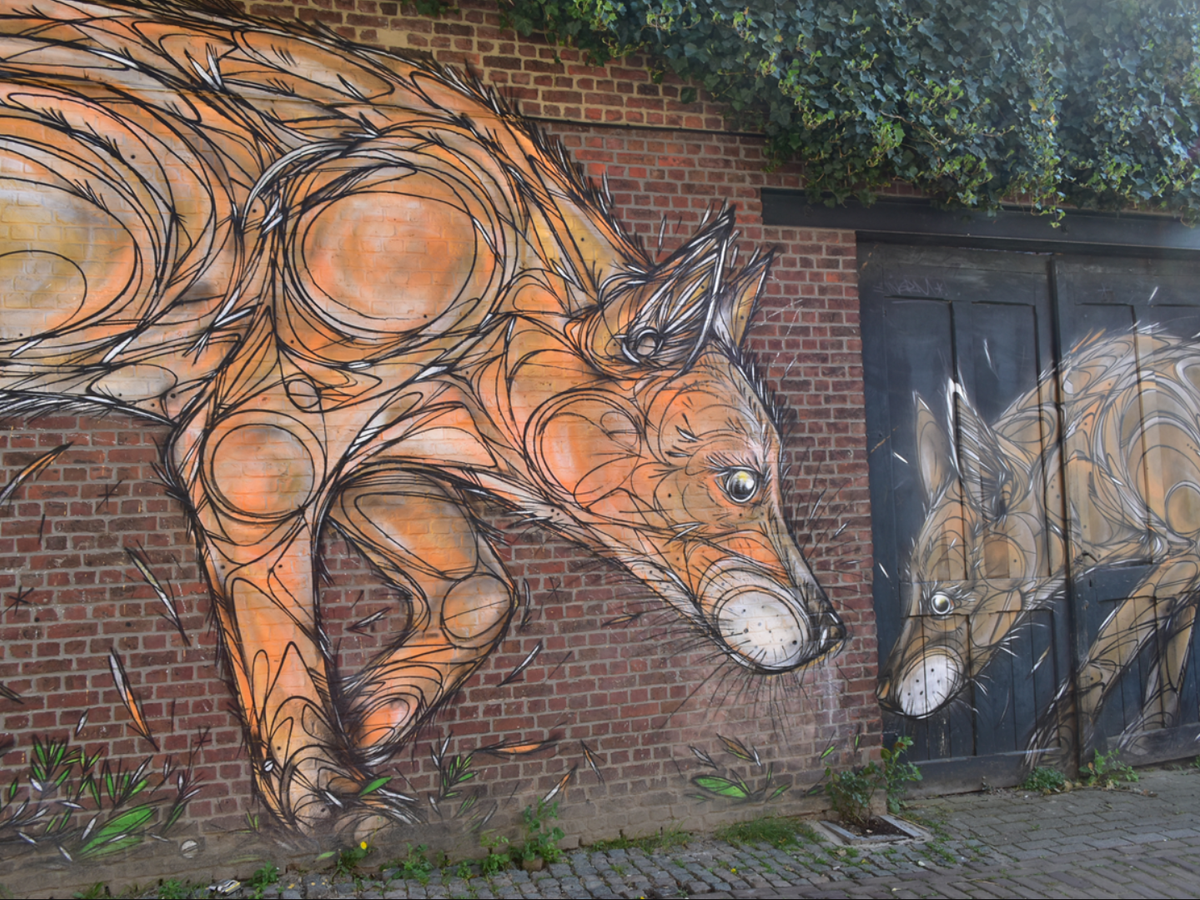 Magnificent street art in Leuven | Daymaker