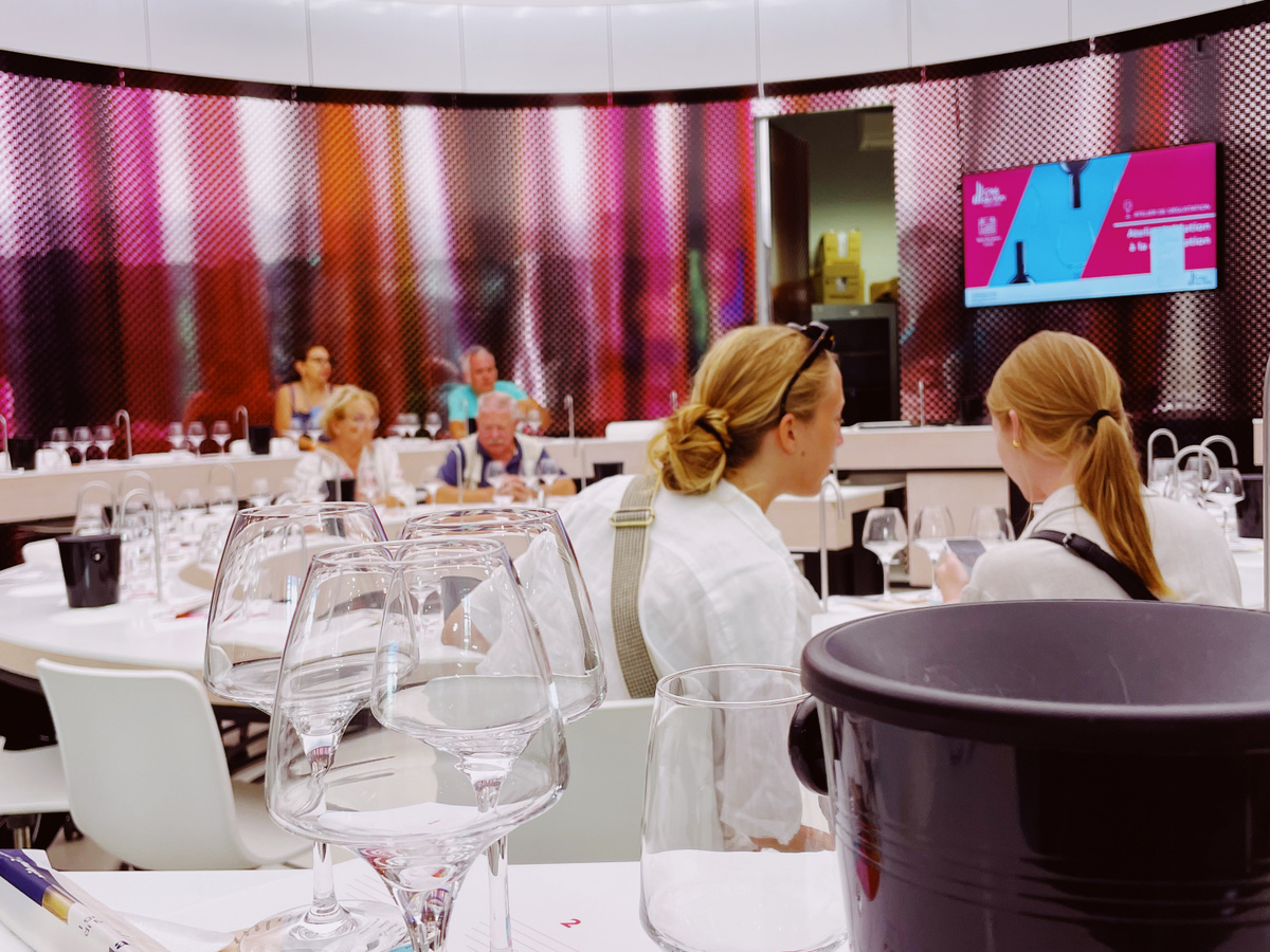 Workshop winetasting like the French @la cité du vin | Daymaker