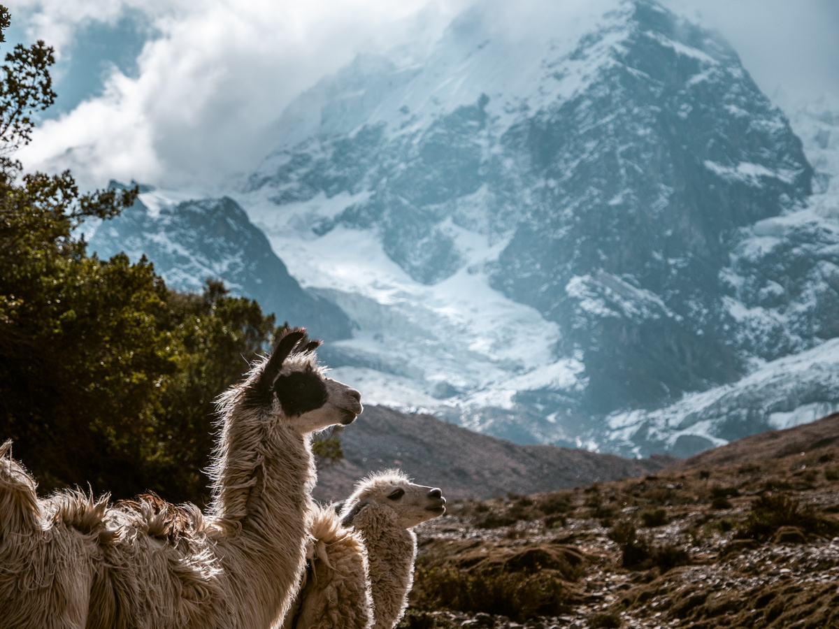 Salkantay Trek: avontuurlijke tocht naar Machu Picchu | Daymaker