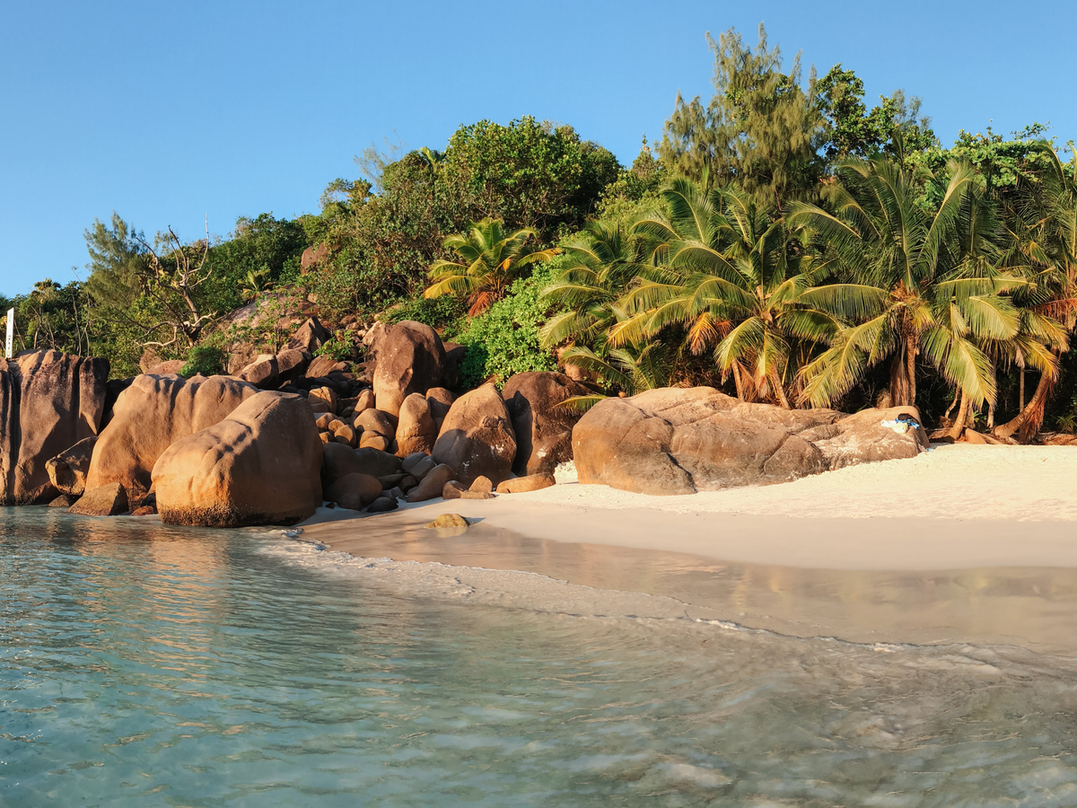 Tropical paradise in Praslin | Daymaker
