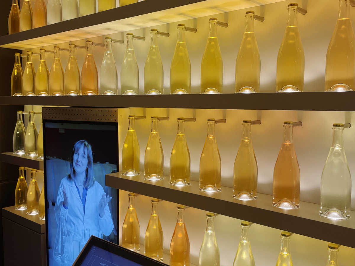 Get to know all about champagne @ Museum Pressoria | Daymaker