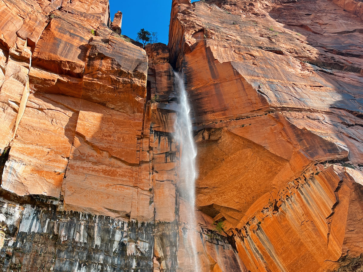Experience the best of Zion National Park in one day | Daymaker