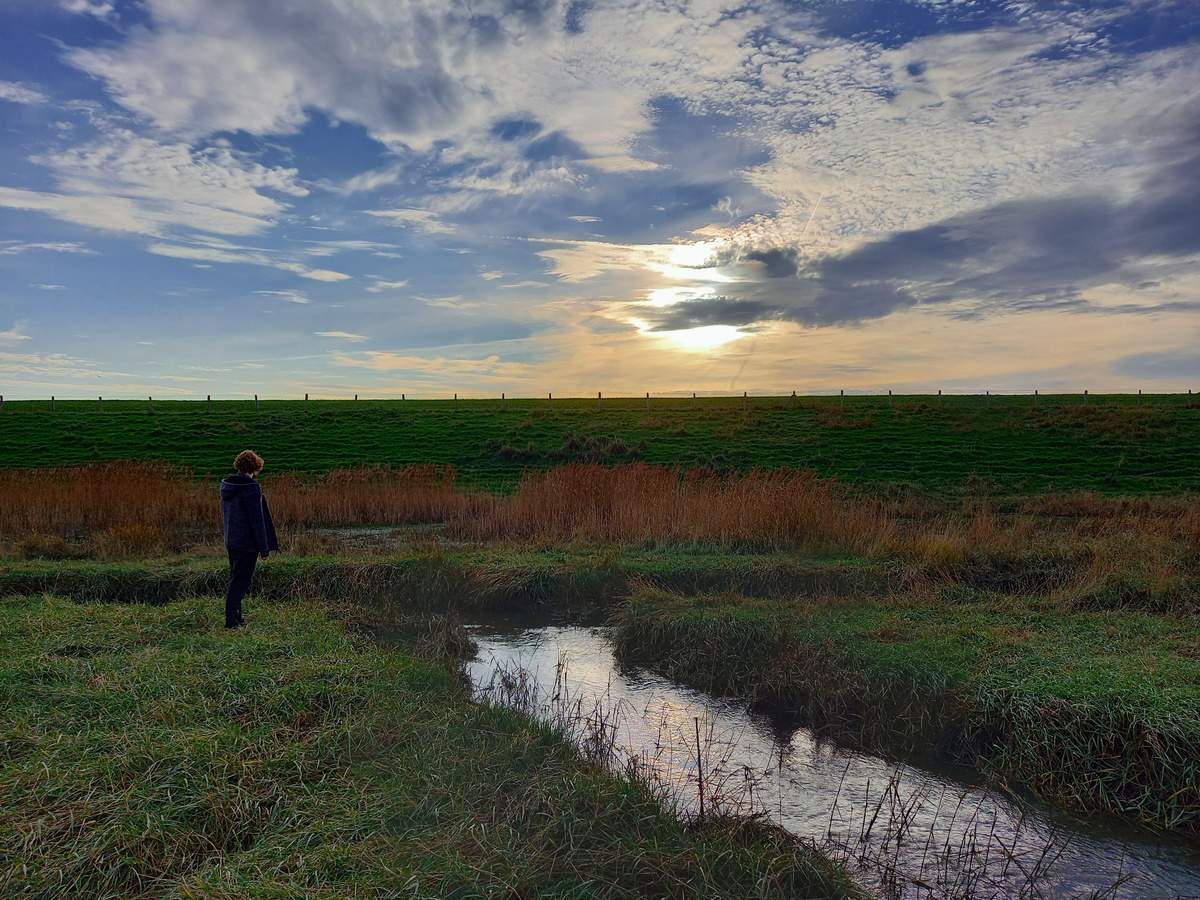 Verdronken Land van Saeftinghe | Daymaker