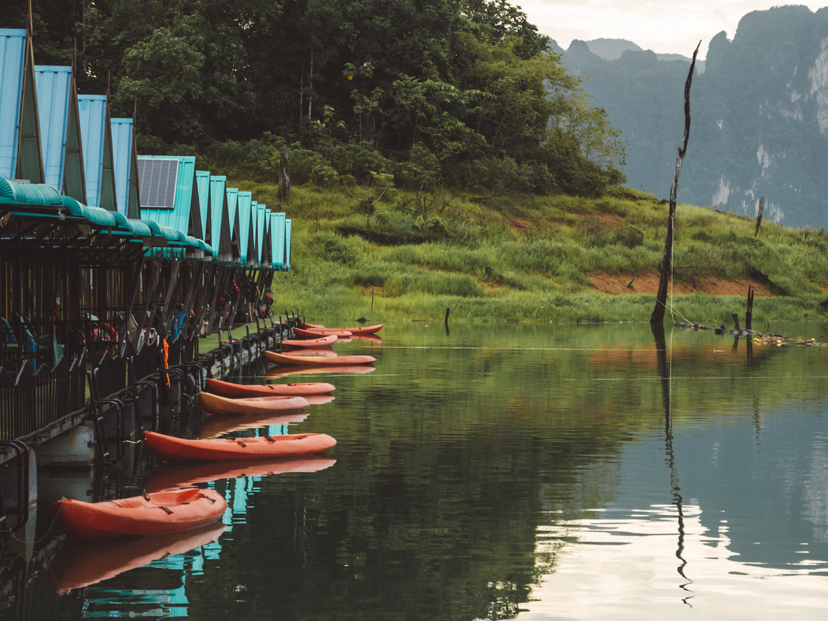 Experience the rainforest in Khao Sok | Daymaker