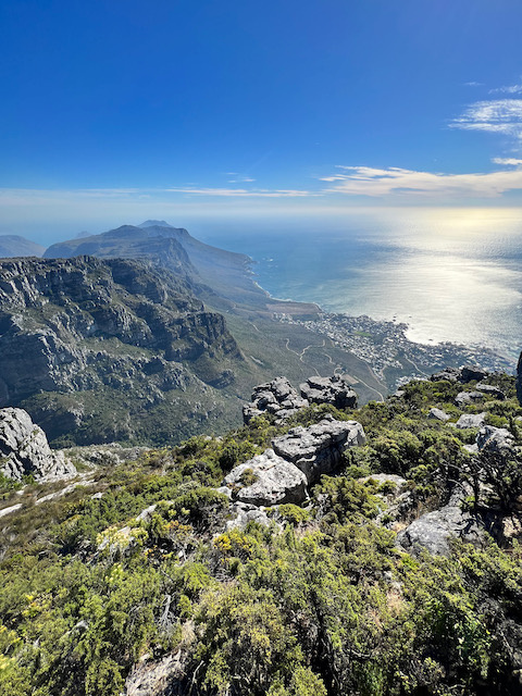 Visit Table Mountain | Daymaker
