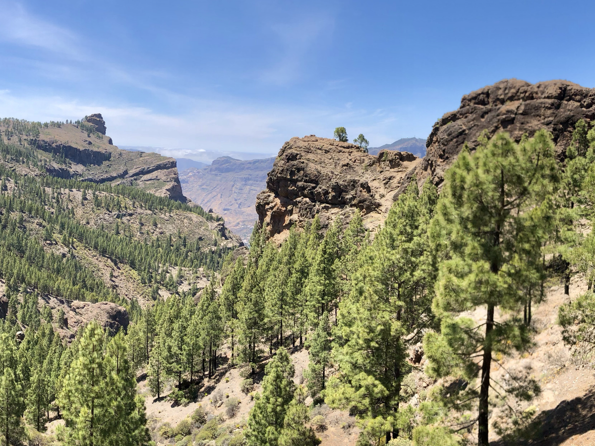 Scenic hiking day in Gran Canaria | Daymaker