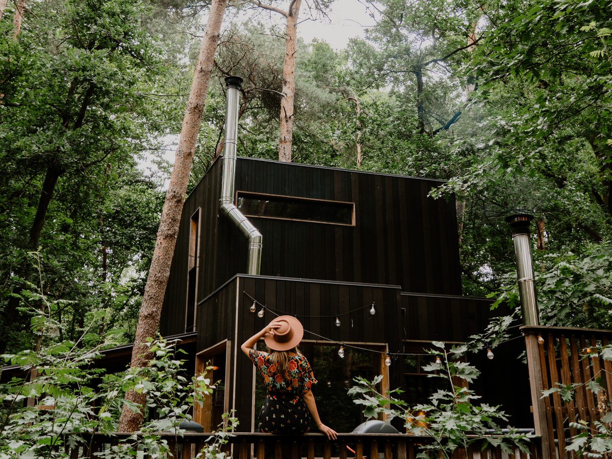 Treelodge Belgium: a cabin full of wonders | Daymaker