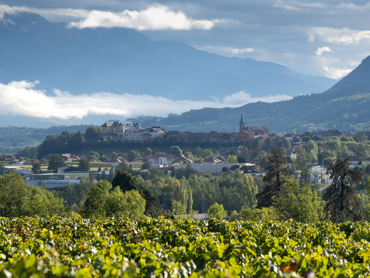 Coeur de Savoie; Herfst tussen de wijnvelden | Daymaker